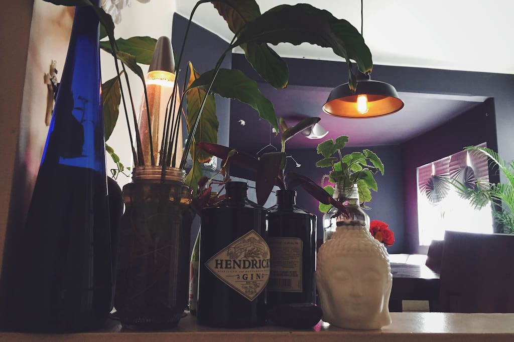 my plants!