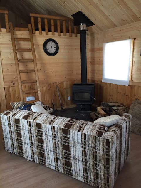 Cabin in the country