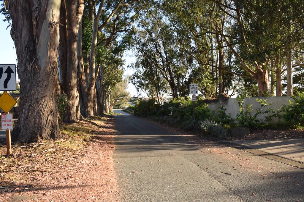 Oceanview Drive