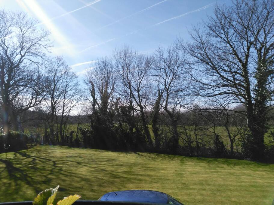 The view from the balcony in late March 2017