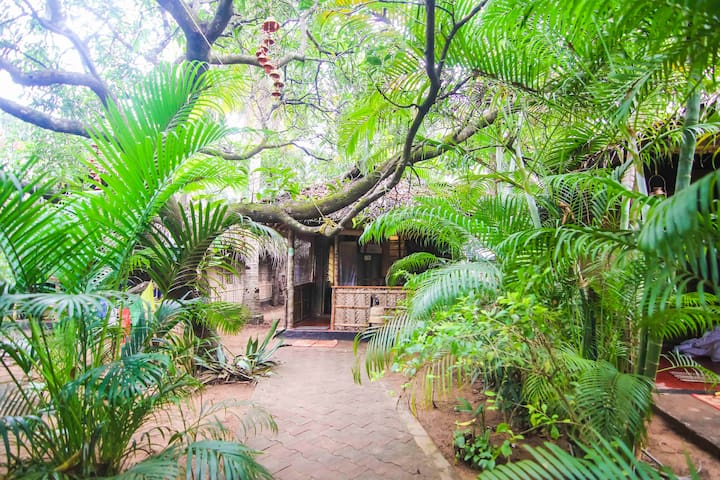 Airbnb Goa Ferienwohnungen Unterkunfte