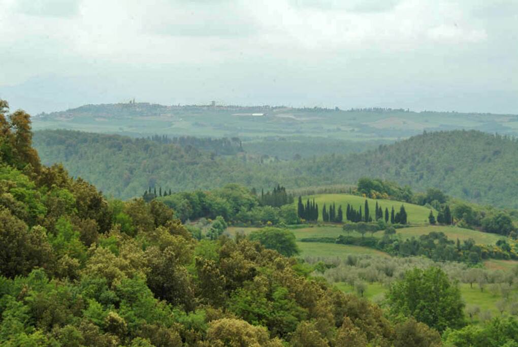 vista terrazza .
