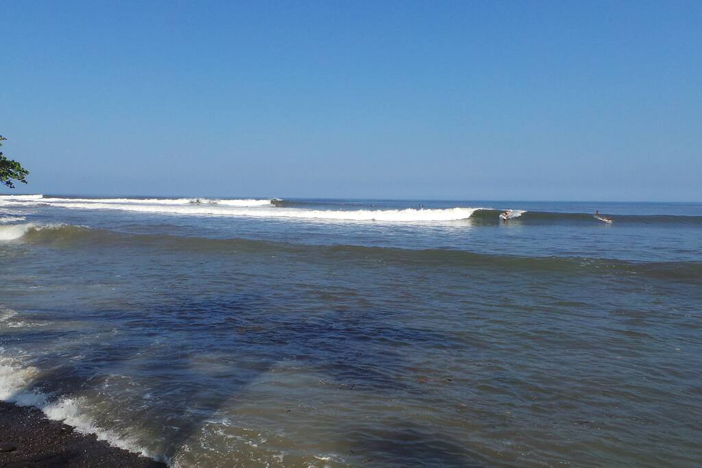 Medewi Point one of natures wonders. Goofy footer paradise.