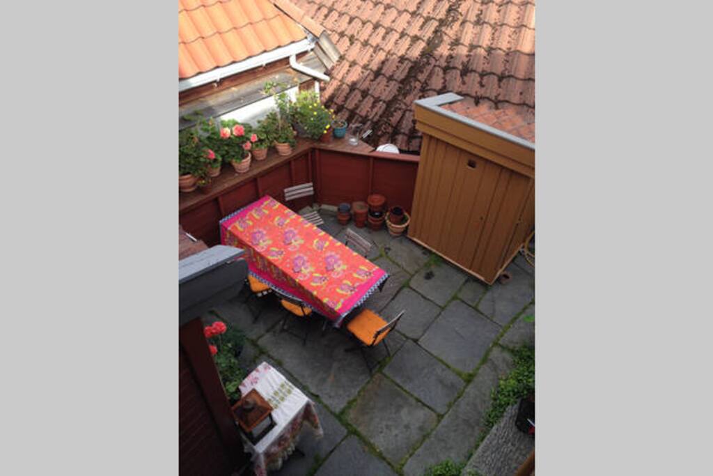 The backyard