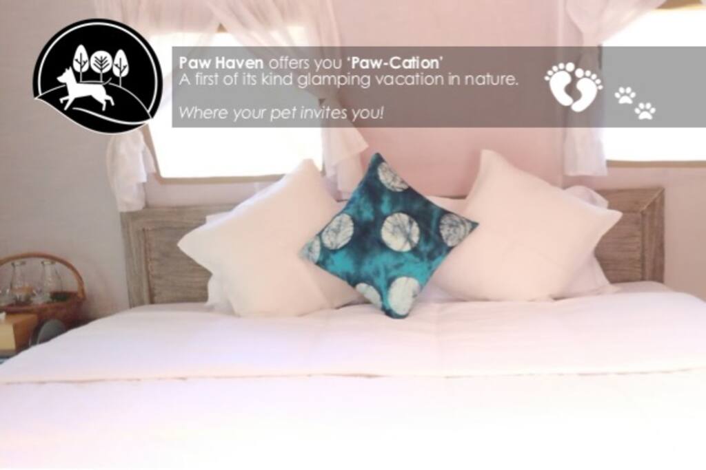 Glamping Tent - Bedroom