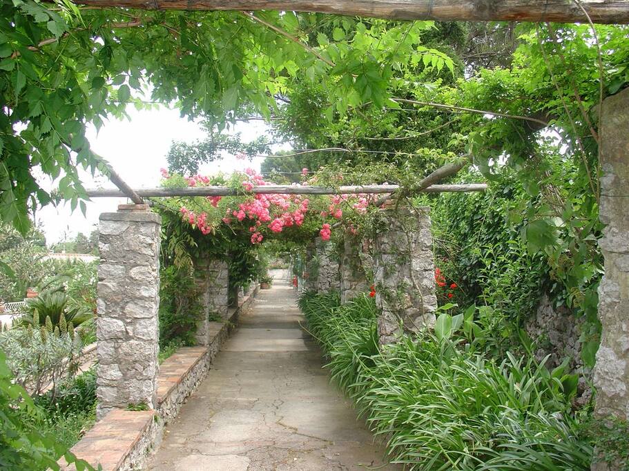 viale ingresso