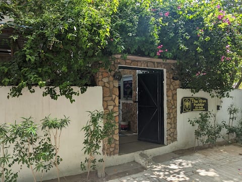 The Hive pushkar with the perfect hint of nature🌿