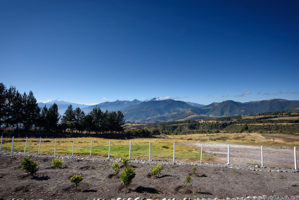 Panoramic views from the property