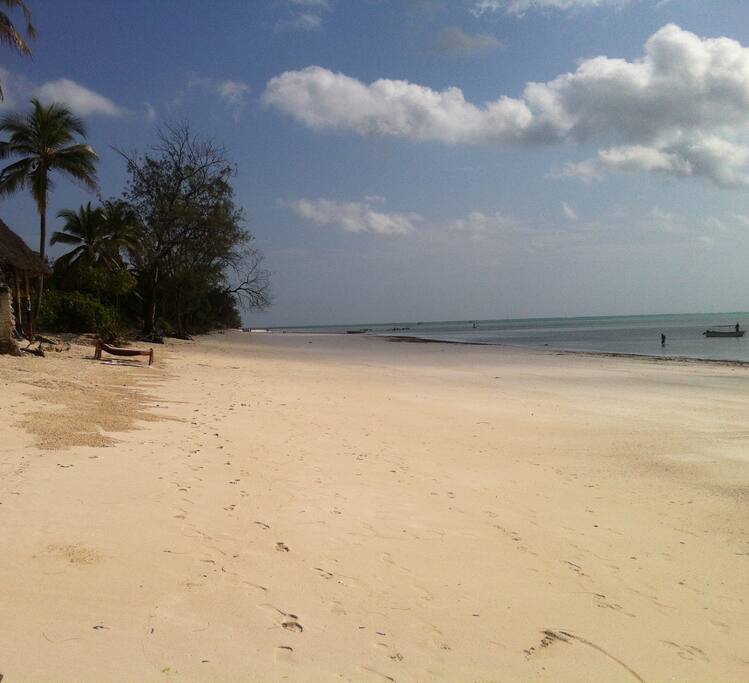 Pingwe beach. Pweza beach restaurant in front of the bungalows on the left.