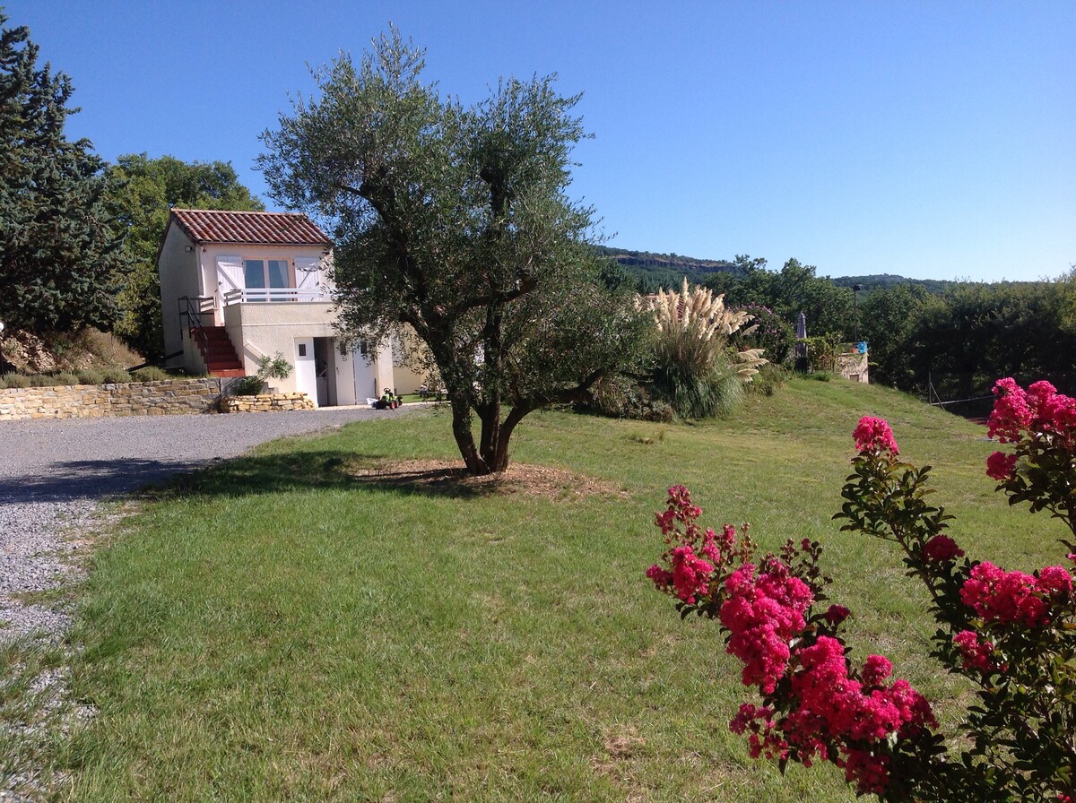 A serene outdoor setting features a studio building surrounded by lush greenery and colorful flowering plants. An olive tree stands prominently in the yard, while a grassy area leads to the entrance of the studio. Clear blue skies enhance the peaceful atmosphere.
