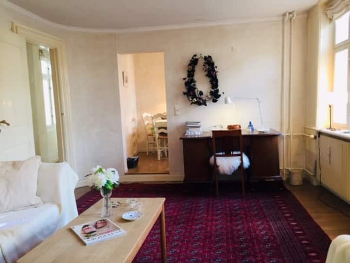 Apartment In The Heart Of Copenhagen - Kopenhagen
