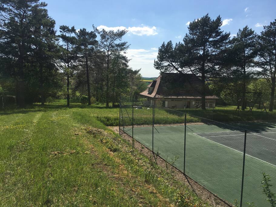 Le tennis