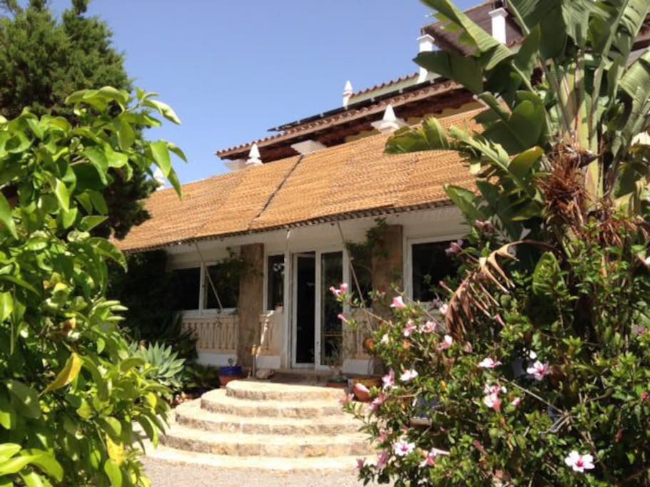 Salida al jardín exterior con barbacoa