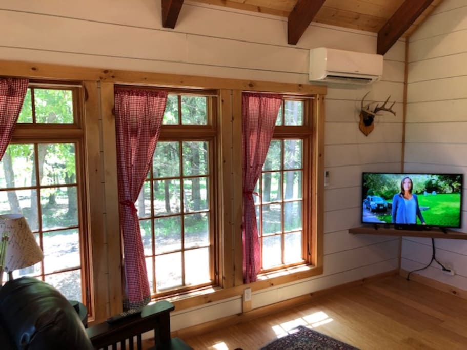 Watch TVs or the Wildlife