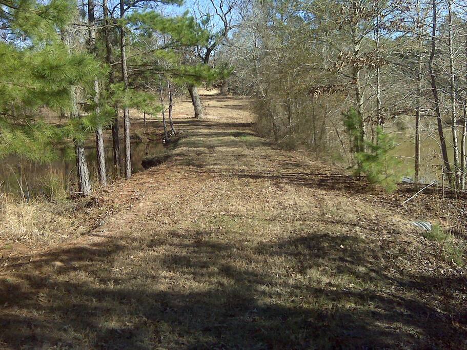 Views, views, views leading up to the house