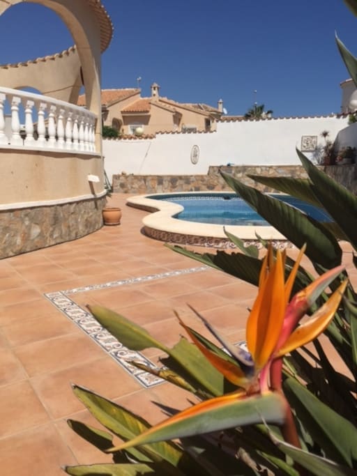 Large well maintained garden with comfy sunbeds!