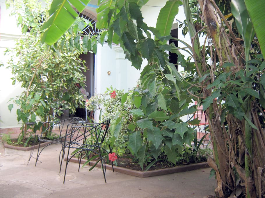 Patio Interior