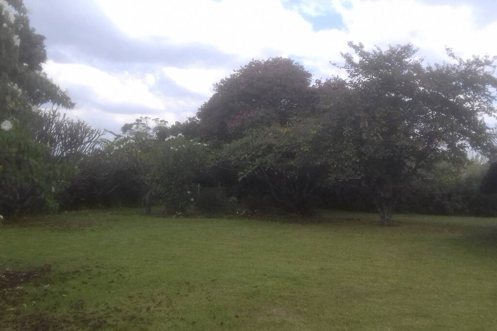 Tranquil garden