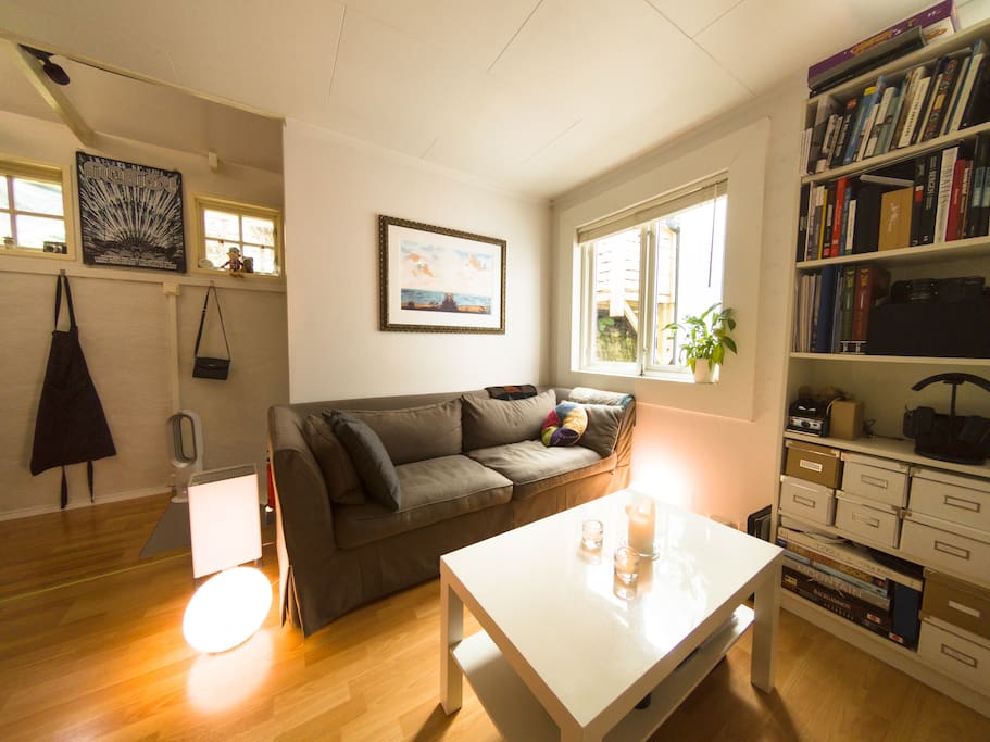 Intimate living room with a comfortable couch, a small library and a great media setup for movies and music.