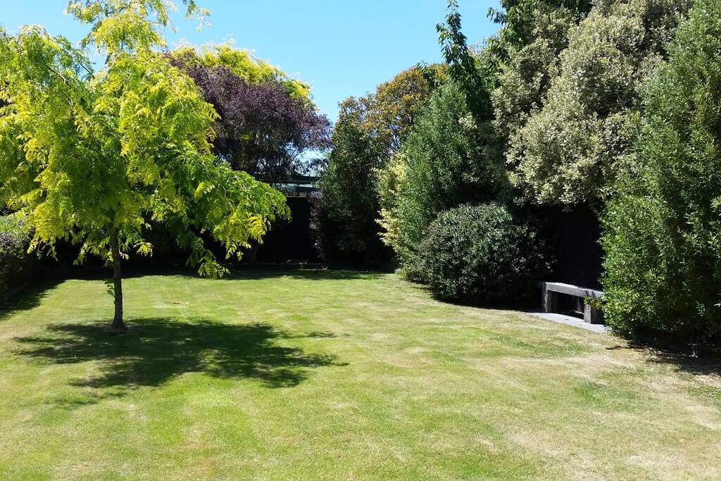 Sunny garden