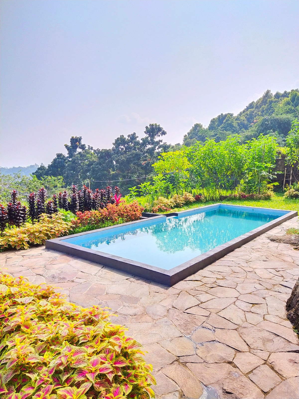 An outdoor swimming pool is framed by vibrant greenery and colorful plants, showcasing a tranquil setting. The pool's clear water reflects the sky, while natural stone paving surrounds the area, creating a harmonious blend with the landscape.