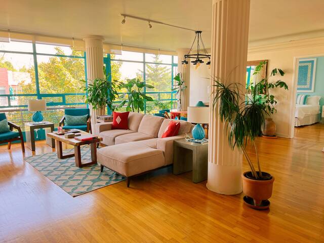 Mexican Charm large bright APT amazing location gallery image 3