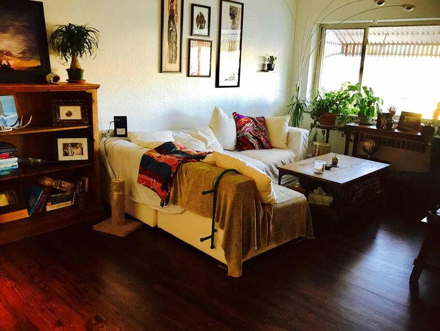 New hard wood floors throughout , lots of plants in my windows...