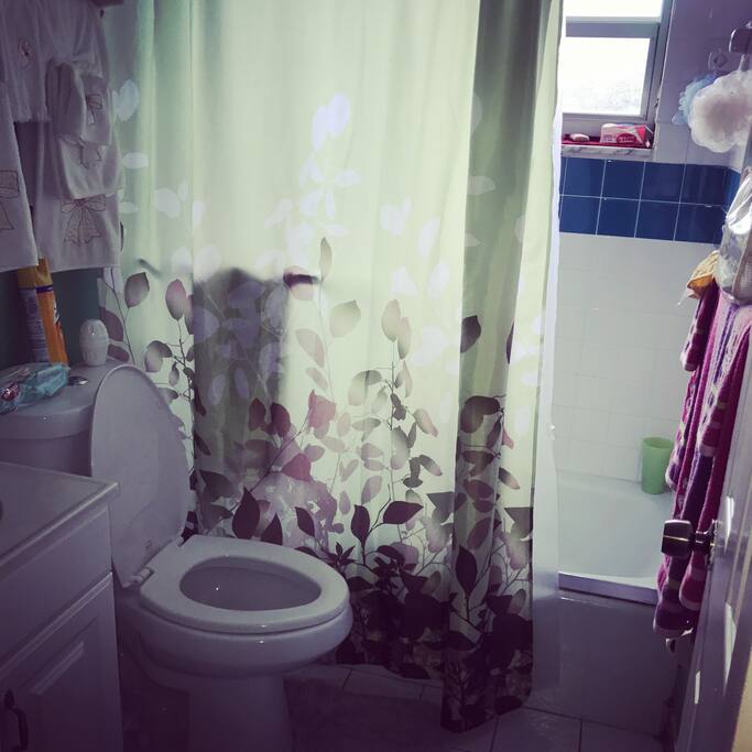 Clean Shared Bathroom