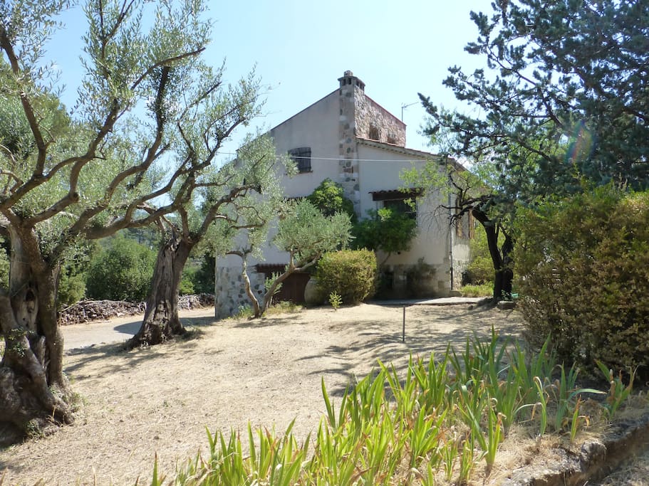maison