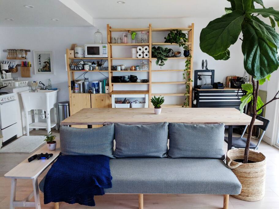 Living / Dining