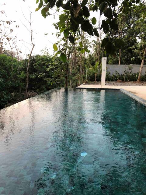 Secluded villa with an infinity pool in Daman