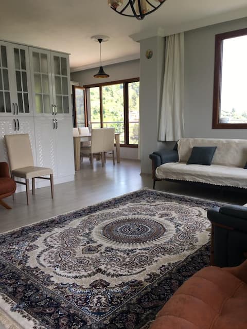 Popular Airbnb listing: Ayder Defne Apart in Çamlıhemşin