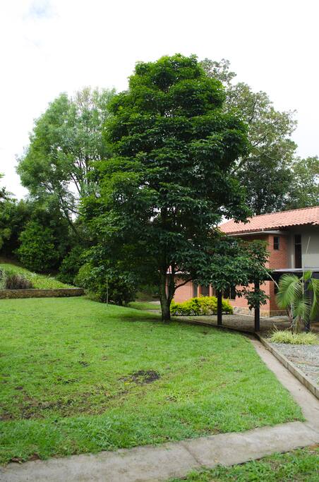 Tiene una amplia zona verde que rodea toda la casa