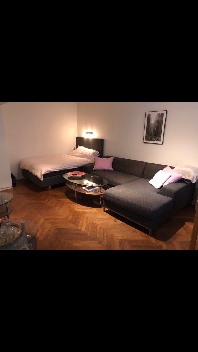 Great flat with terrace in the heart of Stockholm - Flats for Rent Photo#17 Great flat with terrace in the heart of Stockholm - Flats for Rent