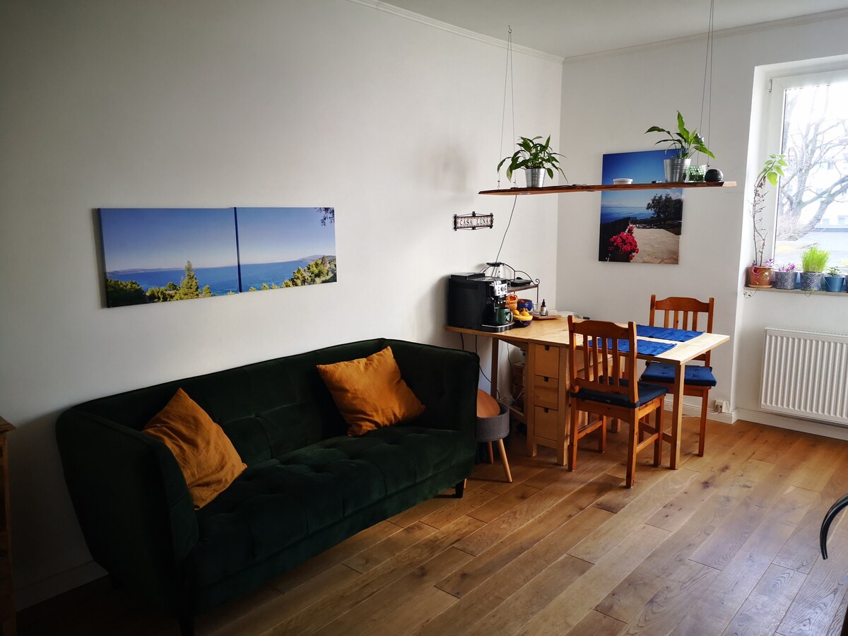 Top performing Airbnb: Green feel-good oasis in Cologne in Zollstock
