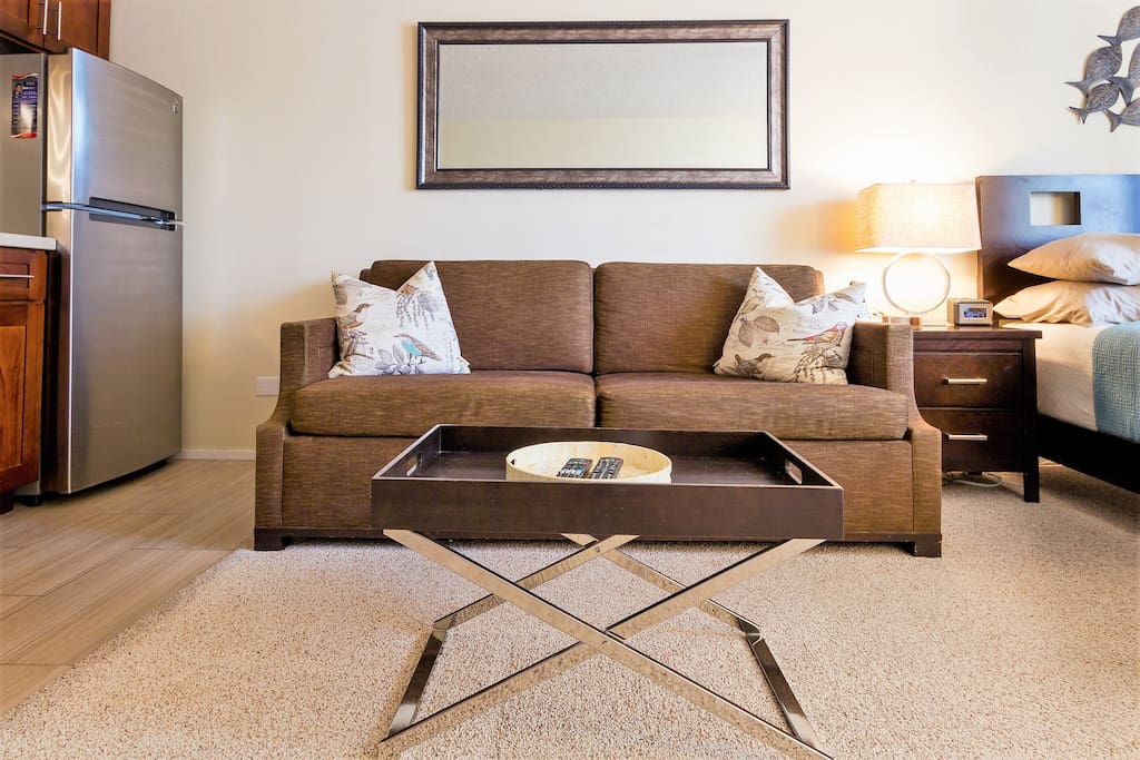 and comfortable queen size sofa bed- sleeping for 4!
