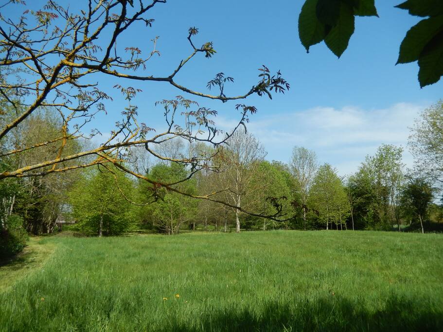 Une partie de la prairie et la forêt