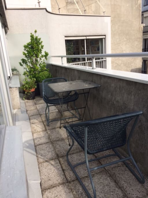 Quite rare in Central Paris to have and Outdoor overviewing gardens