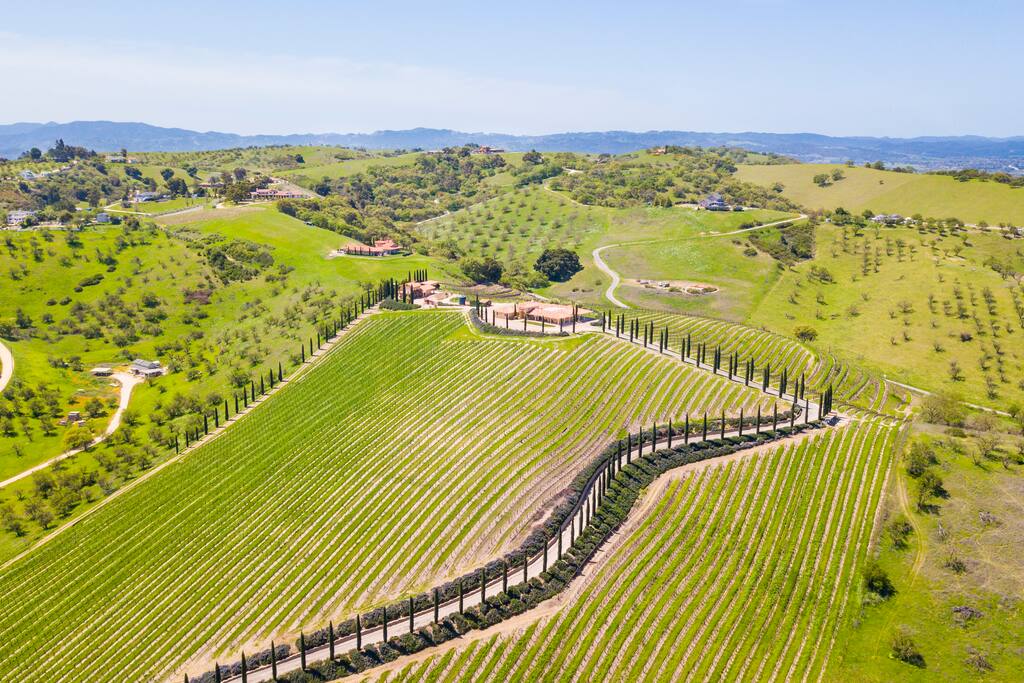 A long Cypress Tree lined driveway winds its way thru the endless rows of vines and leads you past the main Villa home to the quaint Guest House.