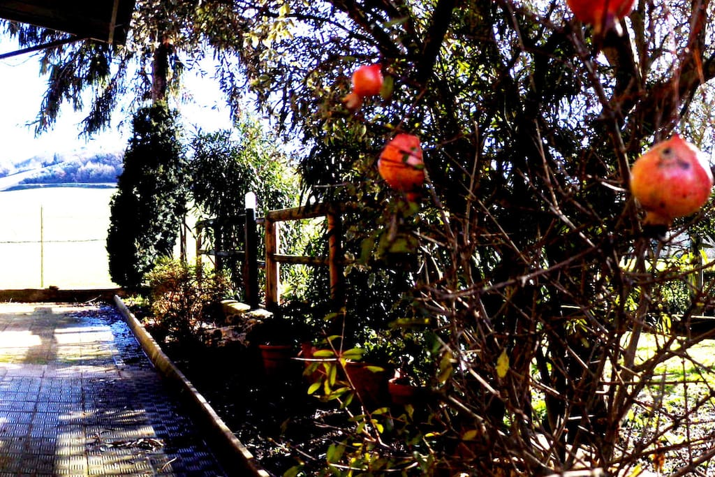 corridoi entrata appartamento pianoterra