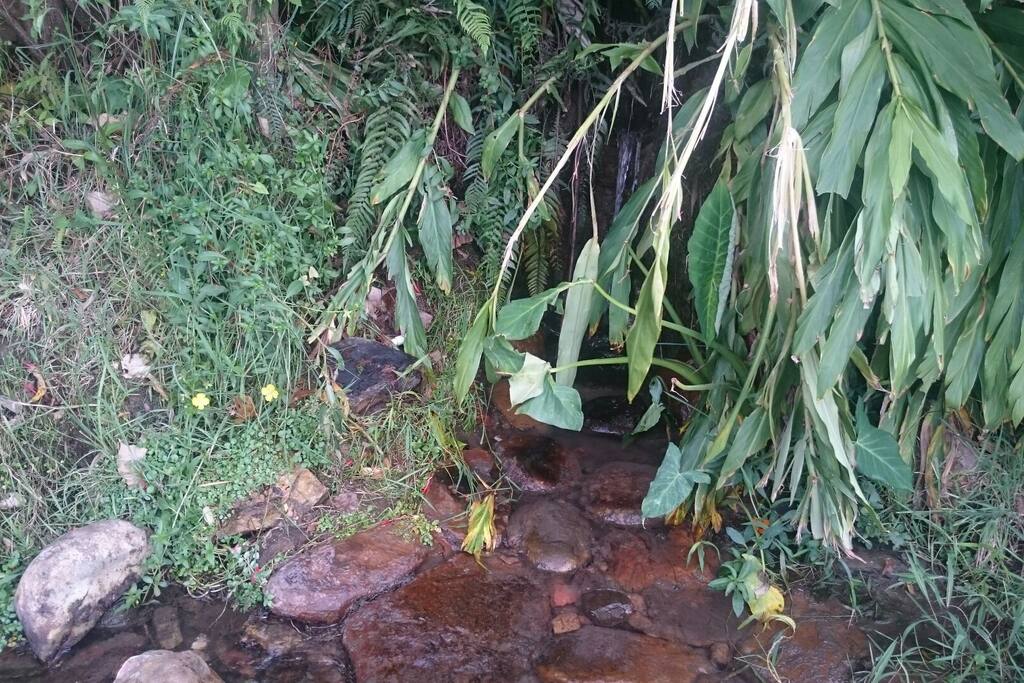 Zonas verdes con agua cristalina