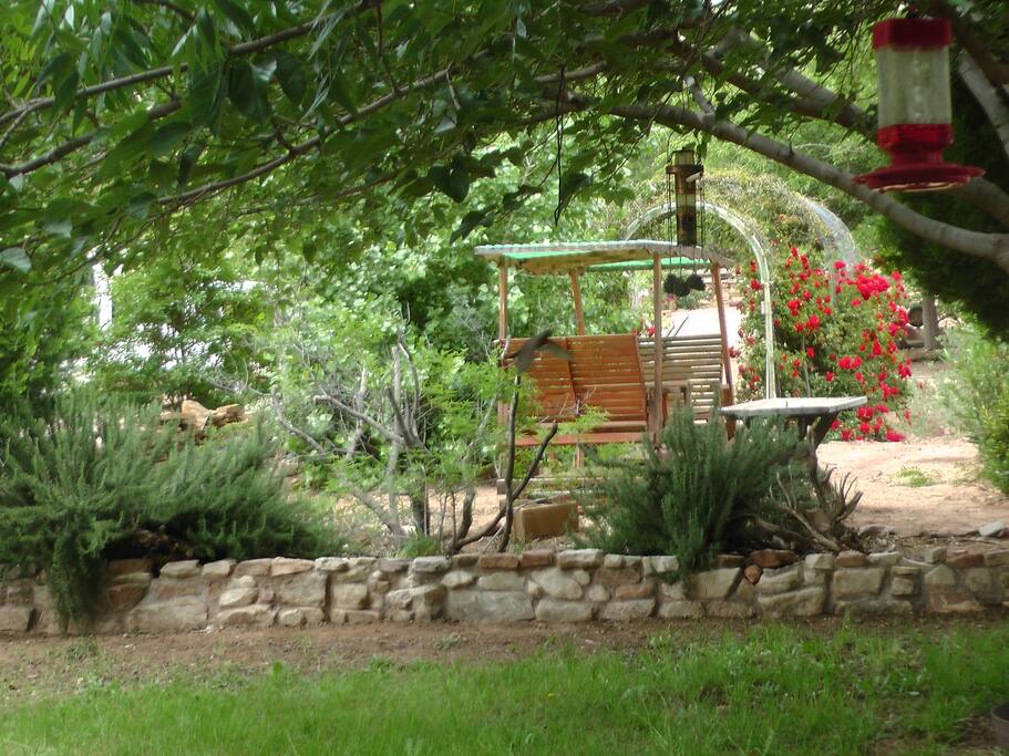 View from back Patio.