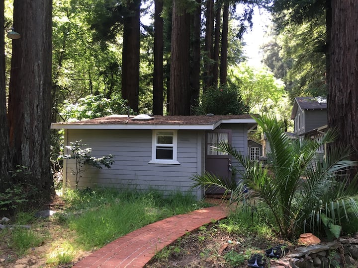 Corte Madera Vacation Rentals & Homes California, United States Airbnb