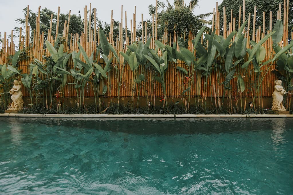 the swimming pool