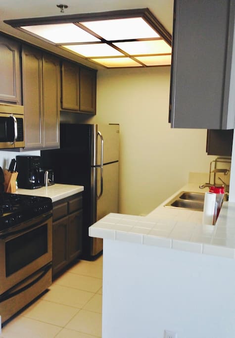 Kitchen of 1 Bed 1 Bath Apartment