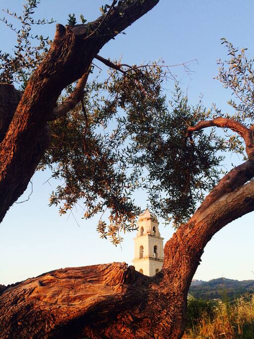 Giardino accessibile direttamente dall'appartamento.
Garden directly accessible from the apartment.