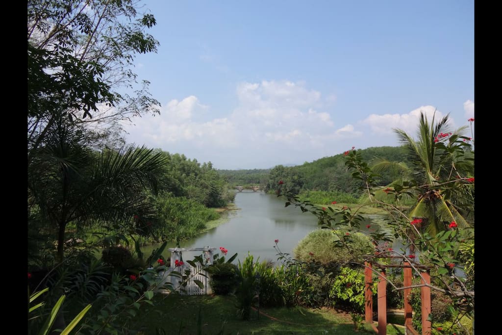 Lake View from garden