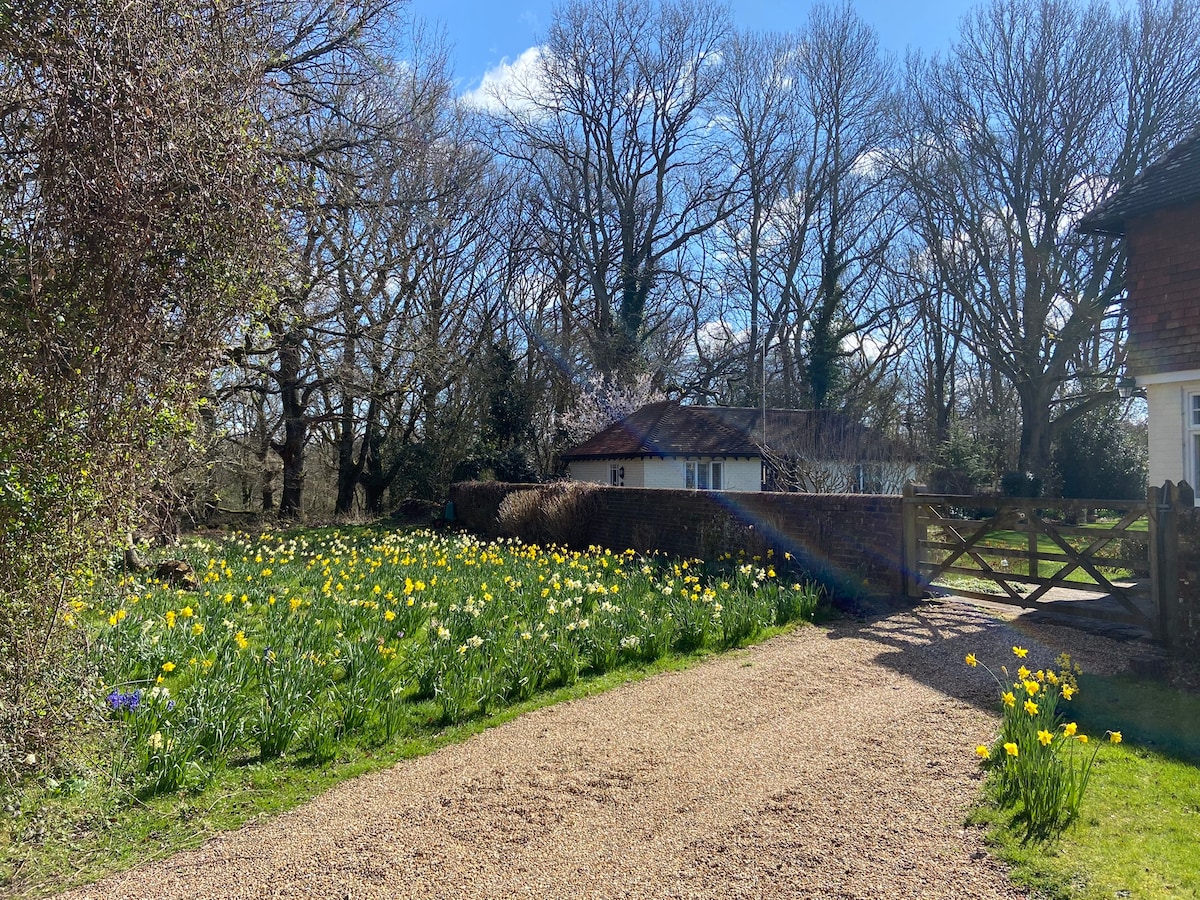 A gravel path leads through a garden adorned with blooming daffodils and other spring flowers, framed by trees in the background. A cottage is visible behind the floral display, nestled within a tranquil woodland setting under a clear blue sky.