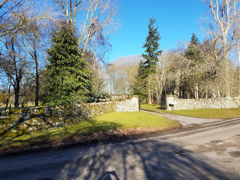 Castle Drive