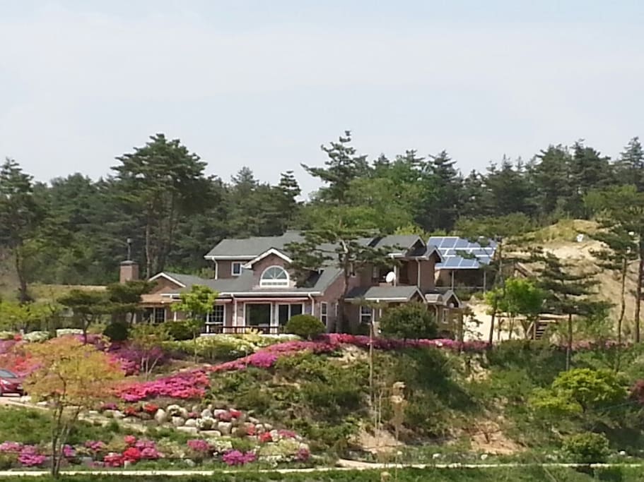 봄 전채전경
